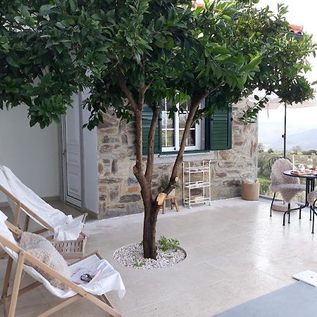 Casinha Da Colina Villa Alfândega da Fé Exteriör bild